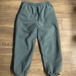 Aritzia TNA mega fit sweats